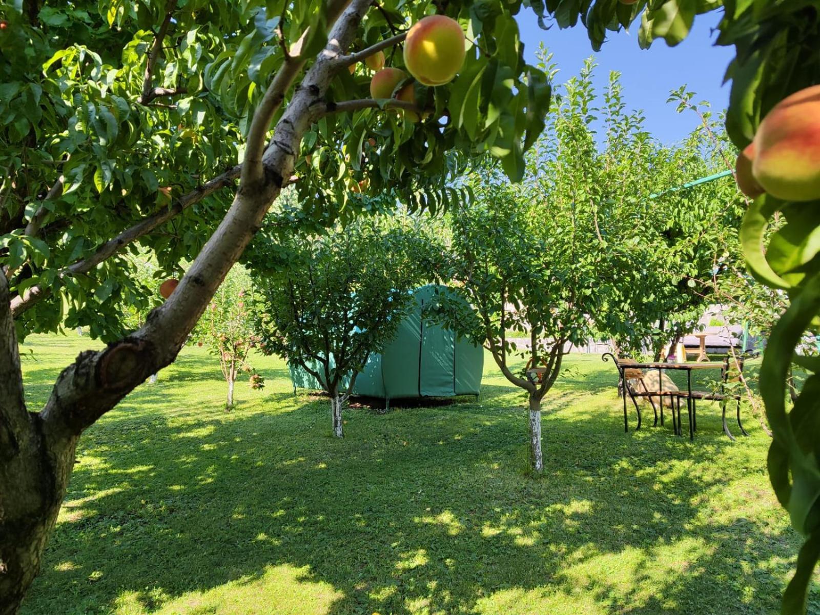 Nataly Campsite Yeghegnadzor Exterior foto
